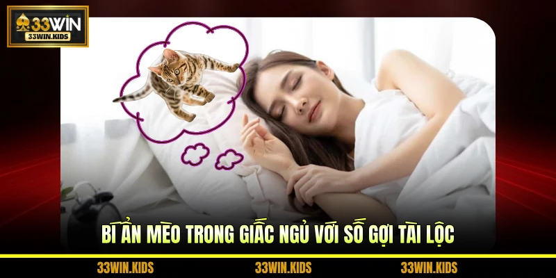 Bí ẩn mèo trong giấc ngủ với số gợi tài lộc